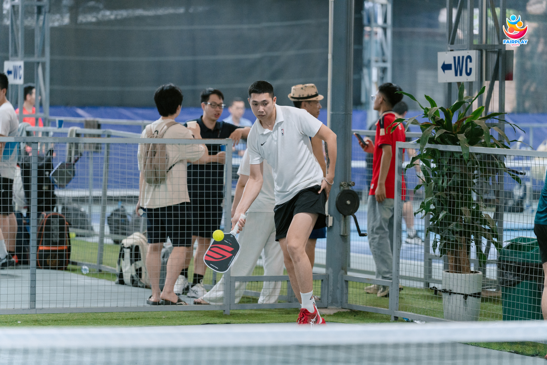 GIẢI PICKLEBALL MDINK MIỀN BẮC - KỈ NIỆM 35 NĂM THÀNH LẬP NGÂN HÀNG MSB